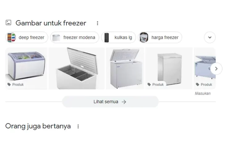Pertanyaan Seputar Freezer di Google
