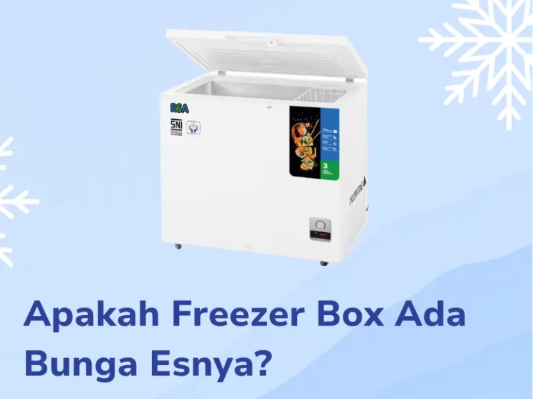 Apakah Freezer Box Ada Bunga Es-nya?
